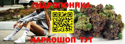 индика Татарск