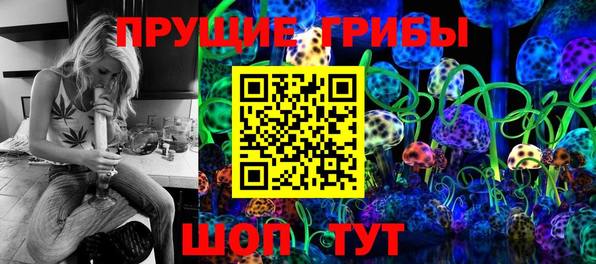 Галлюциногенные грибы Psilocybe Новочеркасск